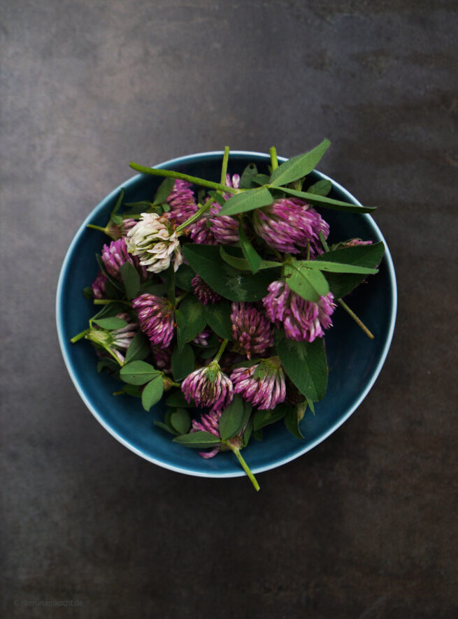 Kleeblüten